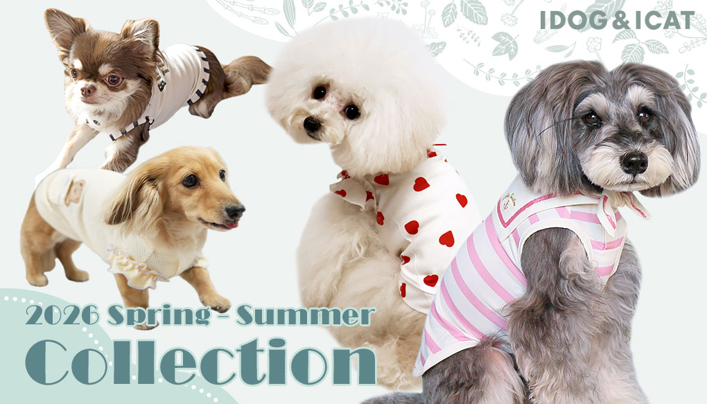 2024-25秋冬新作ウェア