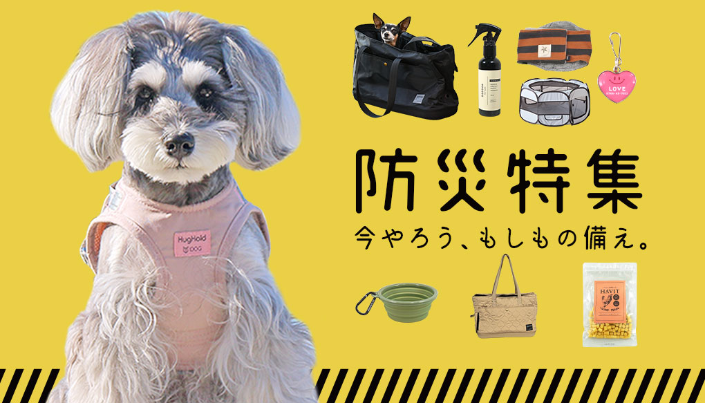 ペットの防災特集