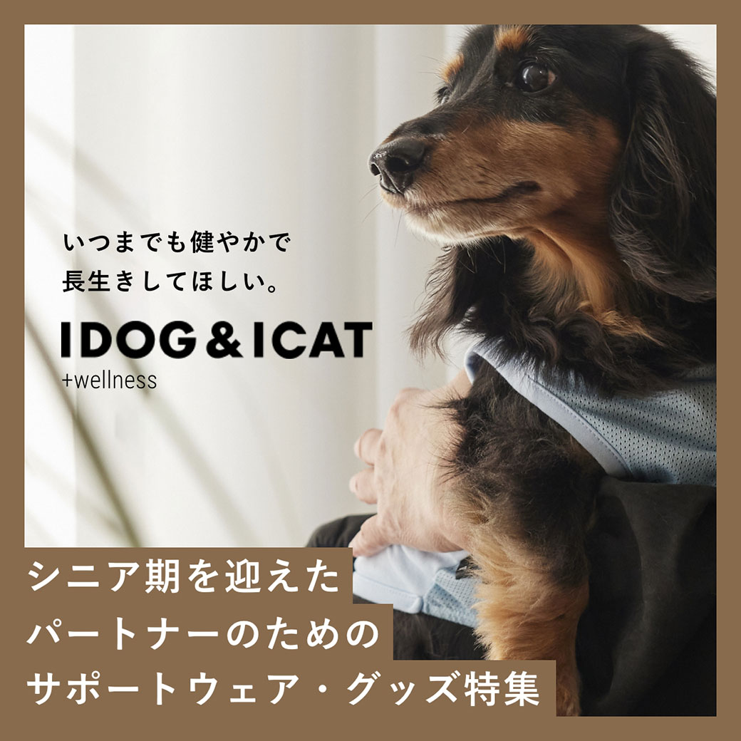 ウェルネスウェア シニア・介護