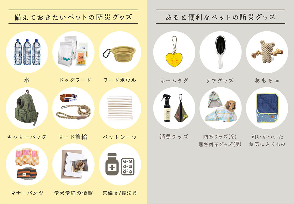 ペットと避難する時にもしもの備え