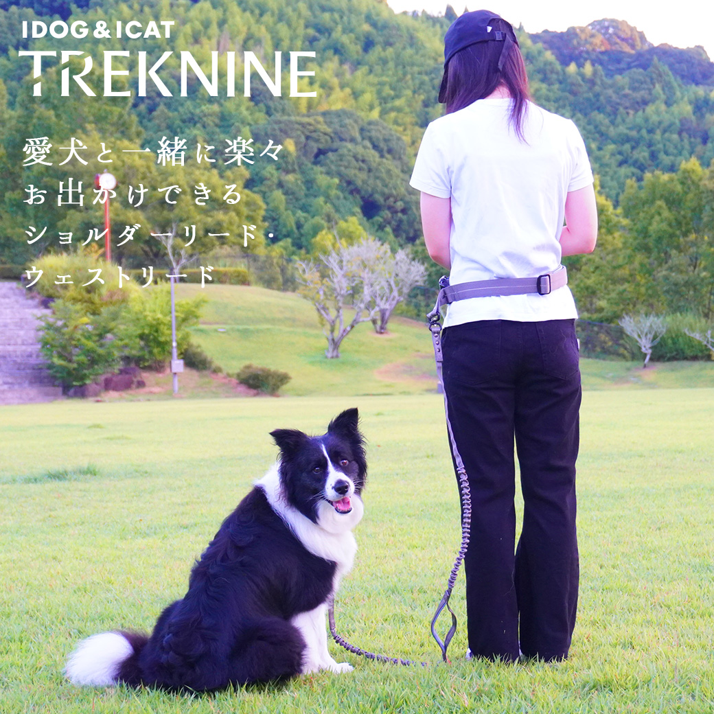 犬 ウエスト リード iDog TREKNINE ウエストショルダーリード アイドッグ 犬のリード 犬のリード