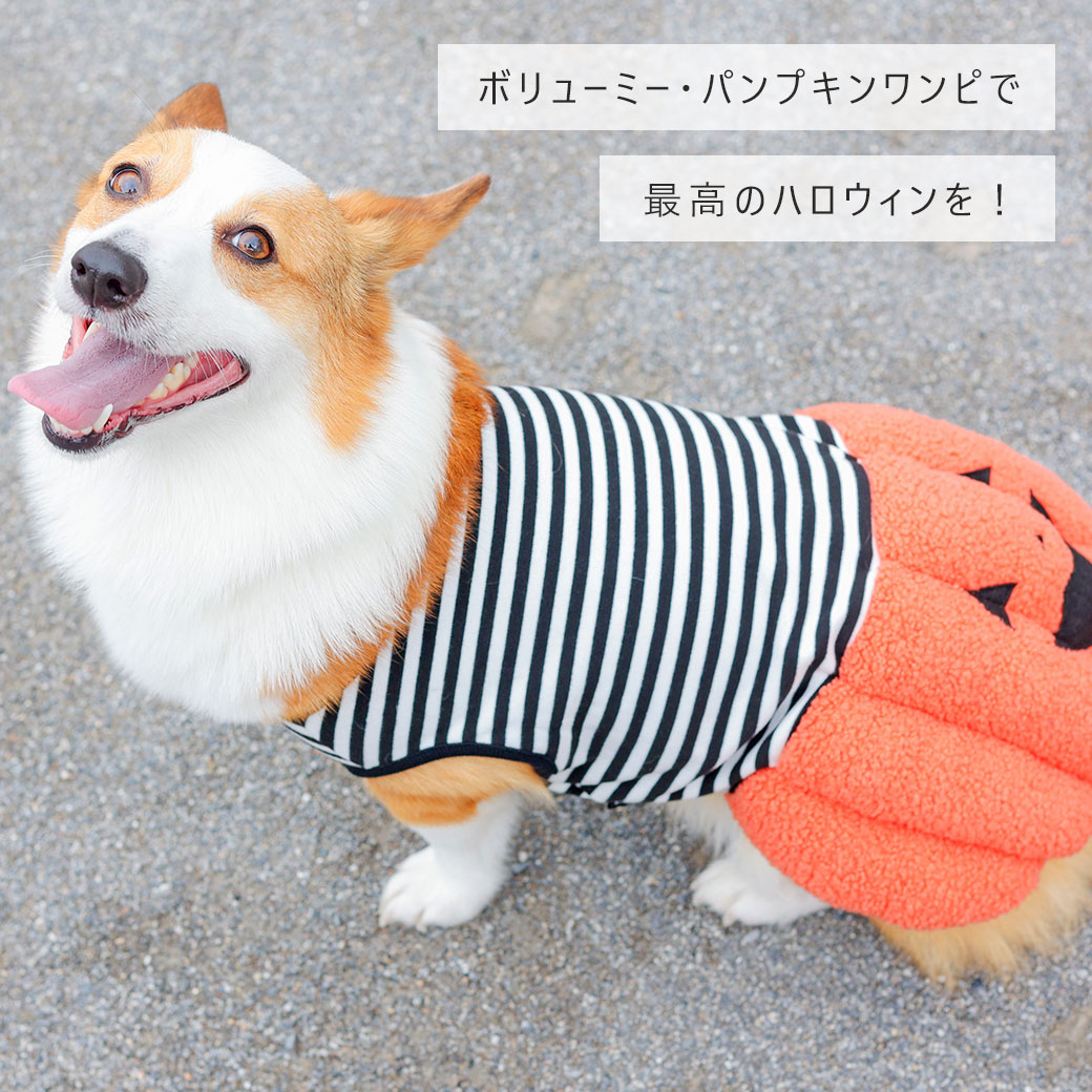 スカート ワンピ ドレス フリル 犬 服 iDog パンプキンワンピ アイドッグ 犬の服 犬服