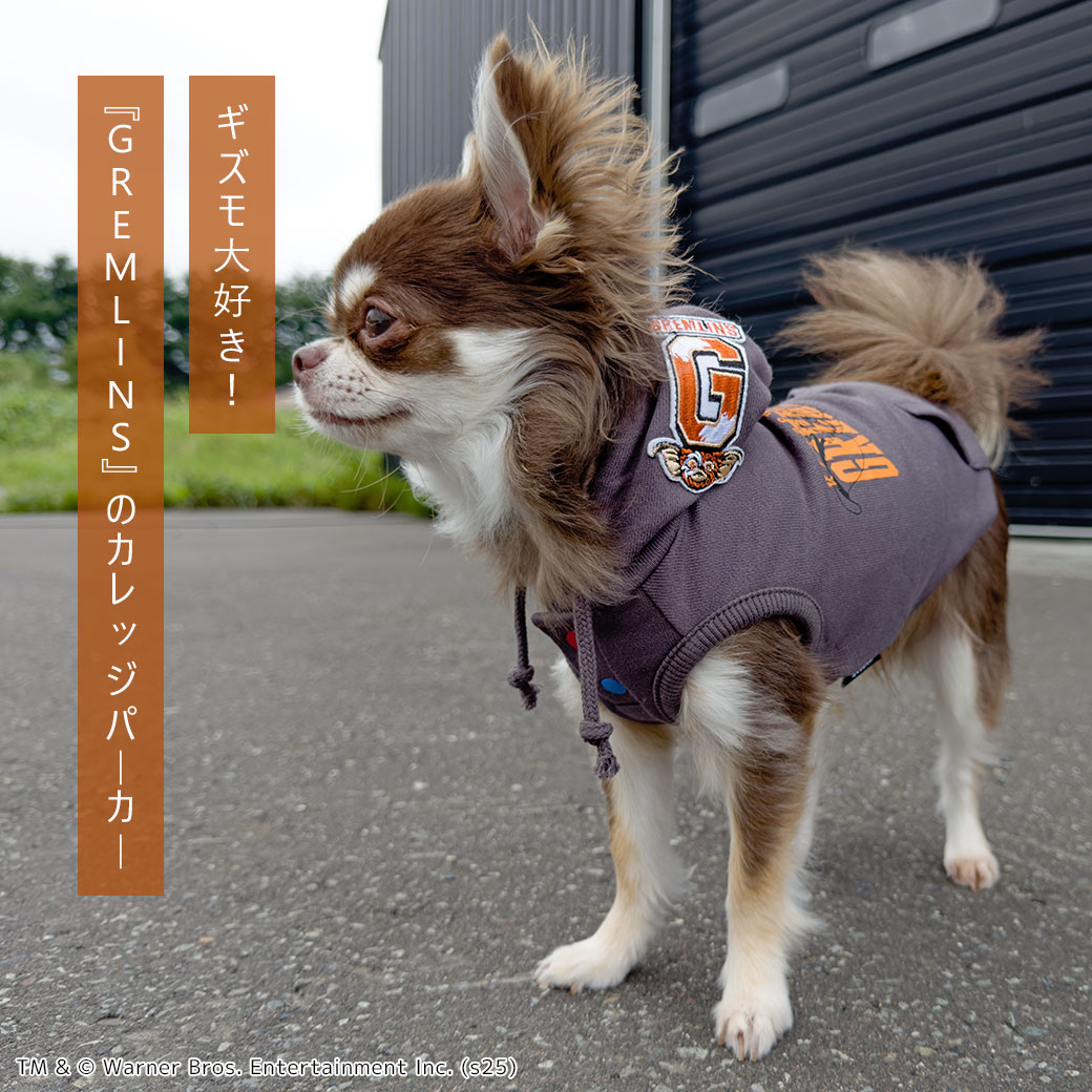 犬 服 iDog GREMLINS ギズモのお散歩スウェットパーカー アイドッグ 犬の服 犬服