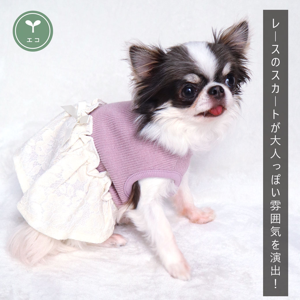 スカート ワンピ ドレス フリル 犬 服 iDog レーススカートワンピ アイドッグ 犬の服 犬服