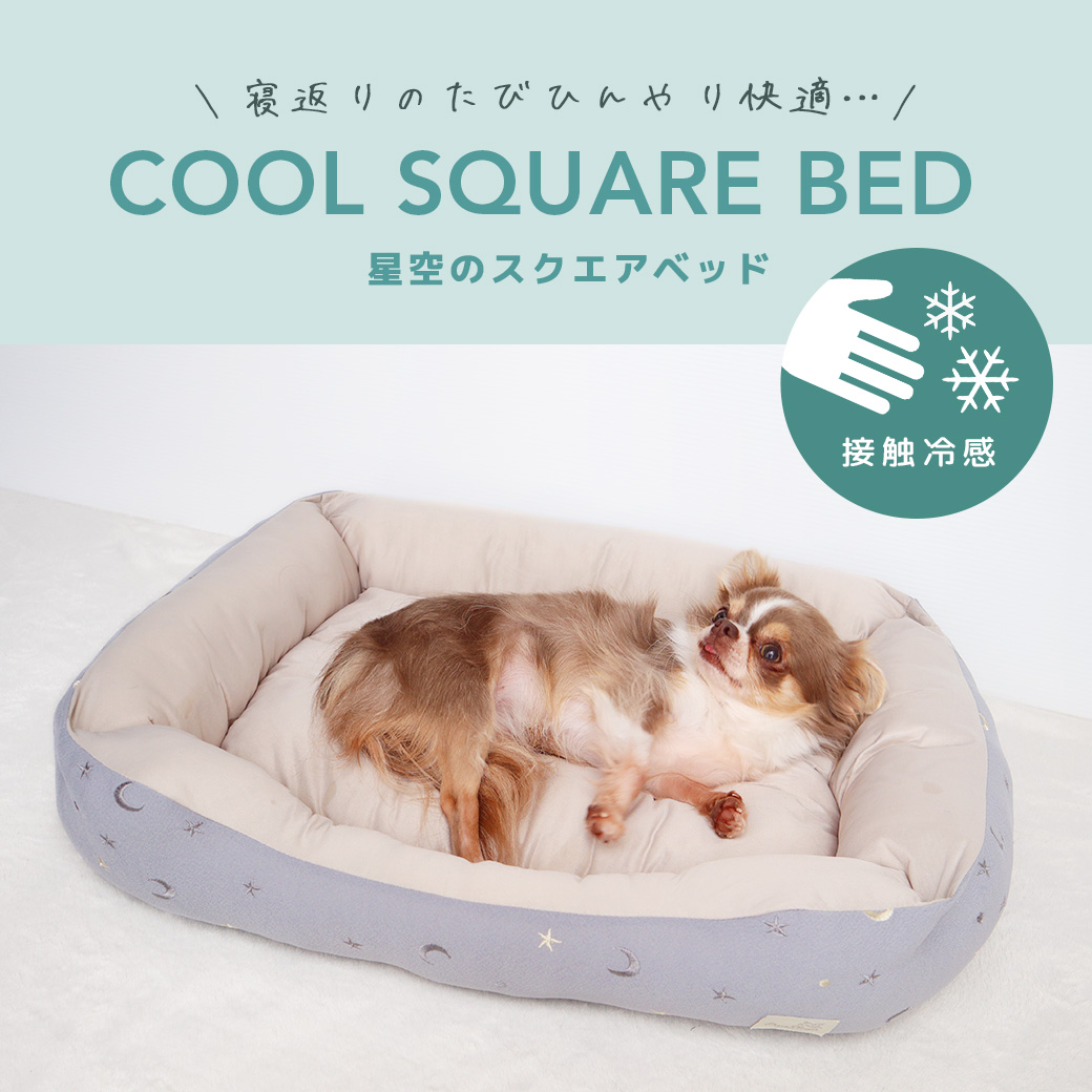 犬 猫 ペット IDOG&ICAT 星空のスクエアベッド 接触冷感 抗菌 防臭 アイドッグ 家具 インテリア