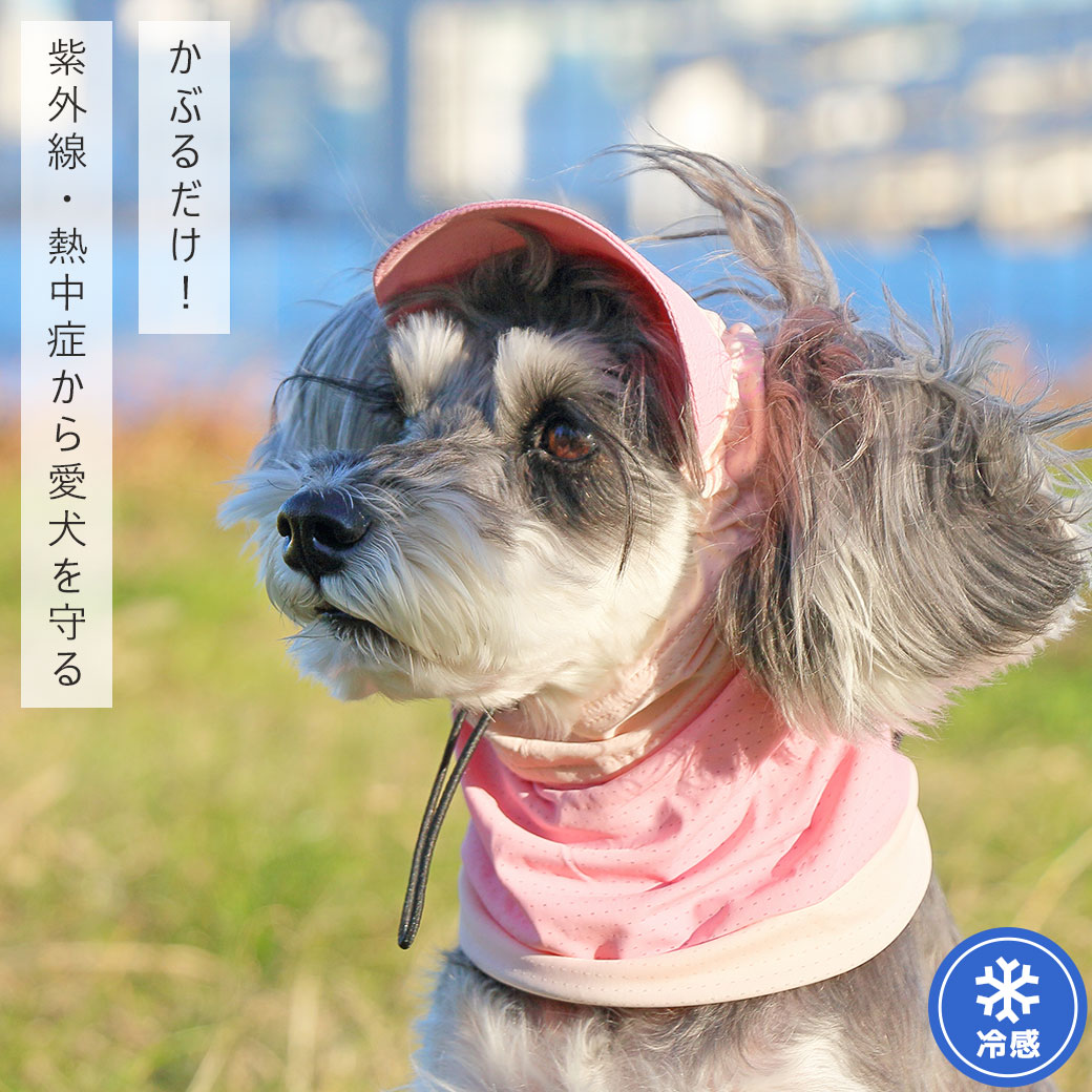 耳 汚れ防止 犬 服 iDog 日よけメッシュスヌード 接触冷感 アイドッグ かぶりもの 帽子 犬の服 犬服