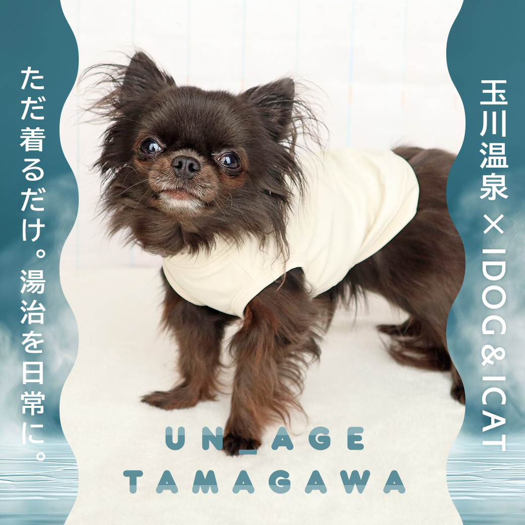 シニア 犬 服 iDog UN_AGE アンエイジ TAMAGAWA インナータンク アイドッグ UN_AGE アンエイジ  介護服 体幹安定 犬の服 犬服