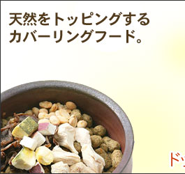 犬 手作り食 どっとわん ドットわん 納豆 120g 手作りごはん ふりかけ トッピング01